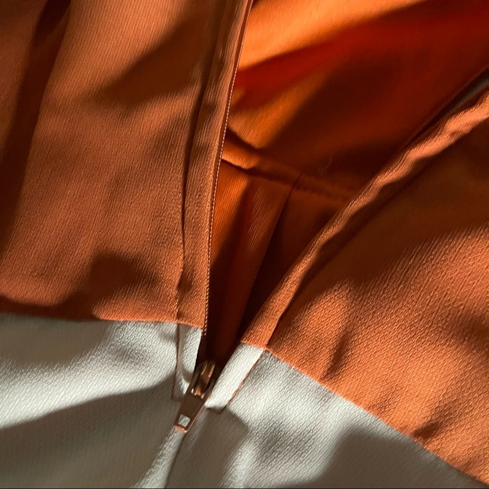 Fall Colours Pleated Dress - Picture 8 of 9
